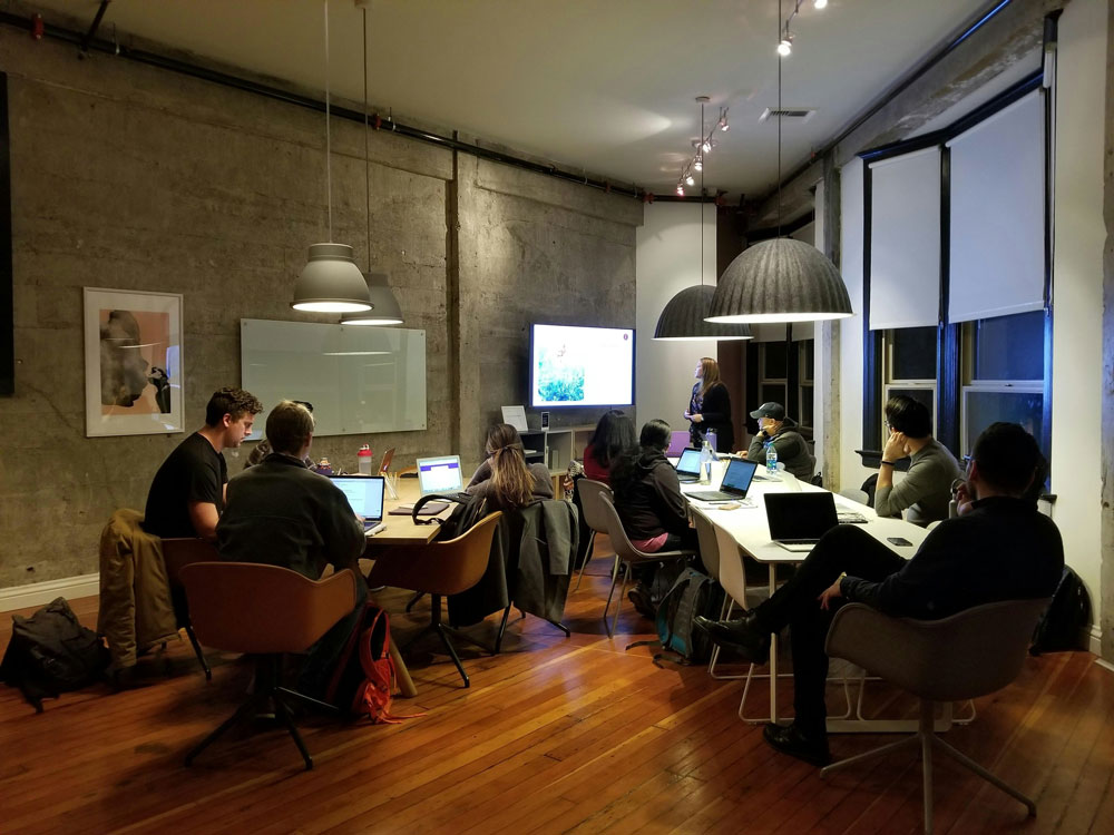 Web Development