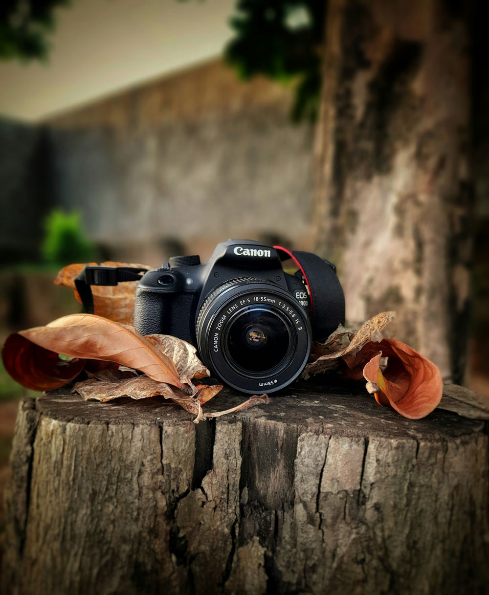 Photography Services